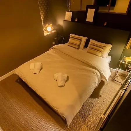 Le Cocon Citadin - Hypercentre Apartment Angers